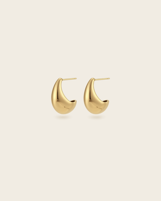 Drop Earrings
